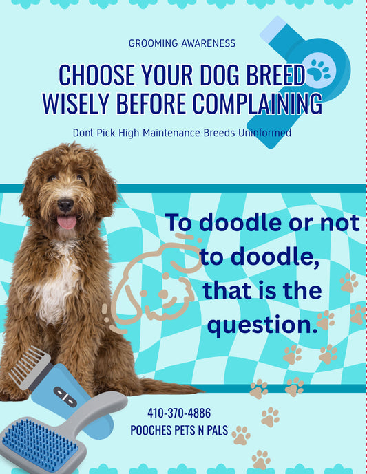 To Doodle or Not to Doodle, That Is The Question,