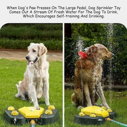 Automatic Outdoor Dog Water FountainPetsDog Water FountainPaws And PensConstant Availability of Fresh Water
Make sure your pet can easily serve itself to get fresh and clean water at any time, even in your absence. No need to refill thePaws And Pens