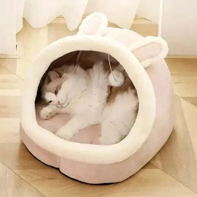 Cat pad bed