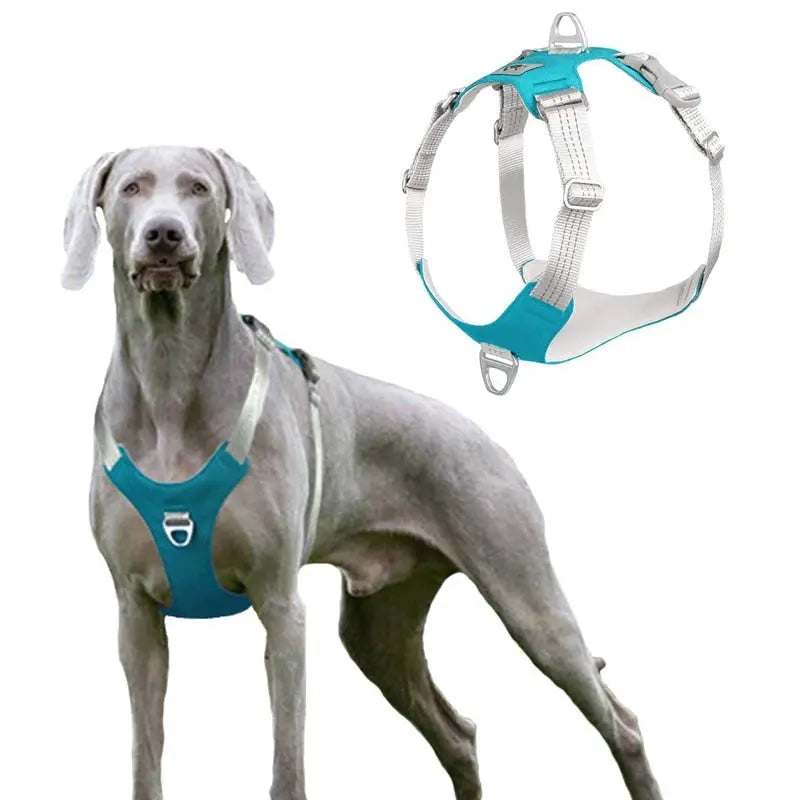Dog Harness