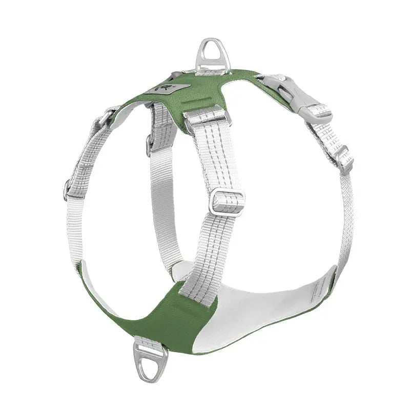 Dog Harness