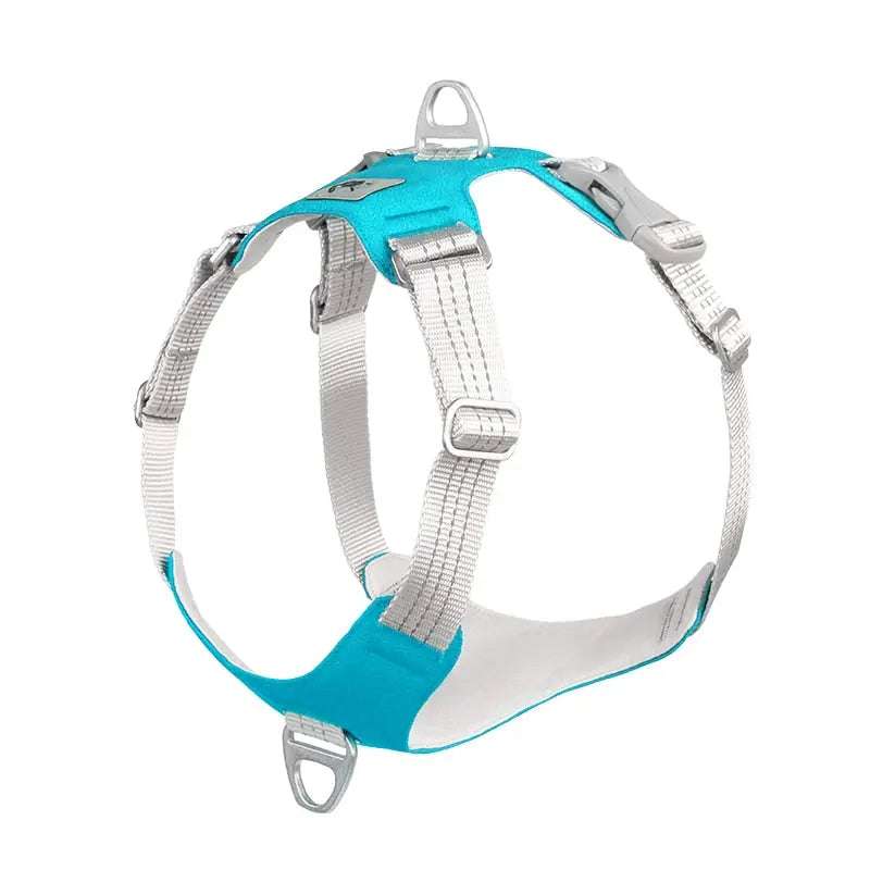 Dog Harness