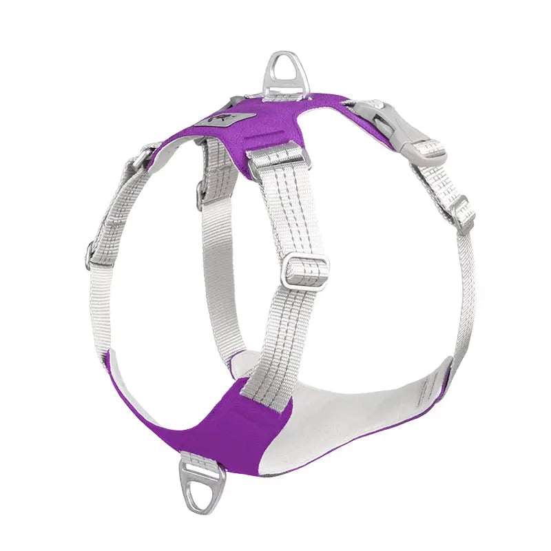 Dog Harness