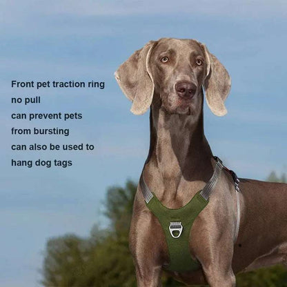Dog Harness