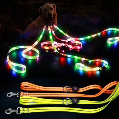 LED light up dog leash glowing in the dark, USB rechargeable and adjustable for all dog sizes
