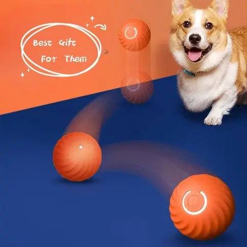 Rubber Ball Pet Dog Rubber Ball ToysPetsRubber Ball PetPaws And PensWhy Rubber Ball Pet Toys Are a Must-Have









ENGAGE YOUR PUP WITH ENDLESS FUN!
Meet the Pet Dog Rubber Ball Toys – the ultimate electronic interactive pet toy dPaws And Pens