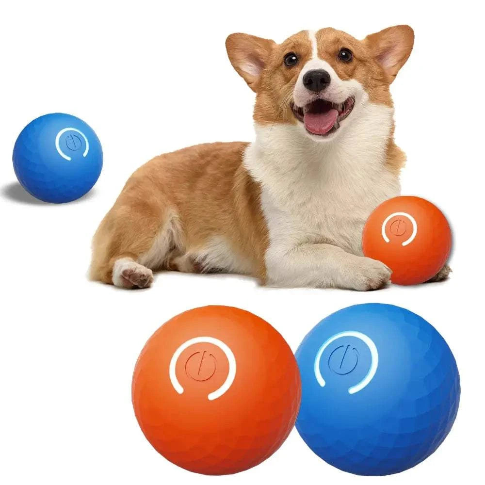 Rubber Ball Pet Dog Rubber Ball ToysPetsRubber Ball PetPaws And PensWhy Rubber Ball Pet Toys Are a Must-Have









ENGAGE YOUR PUP WITH ENDLESS FUN!
Meet the Pet Dog Rubber Ball Toys – the ultimate electronic interactive pet toy dPaws And Pens