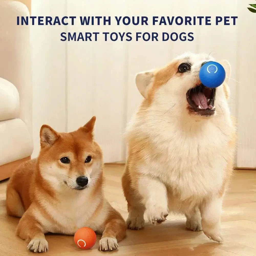 Rubber Ball Pet Dog Rubber Ball ToysPetsRubber Ball PetPaws And PensWhy Rubber Ball Pet Toys Are a Must-Have









ENGAGE YOUR PUP WITH ENDLESS FUN!
Meet the Pet Dog Rubber Ball Toys – the ultimate electronic interactive pet toy dPaws And Pens