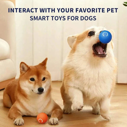 Rubber Ball Pet Dog Rubber Ball ToysPetsRubber Ball PetPaws And PensWhy Rubber Ball Pet Toys Are a Must-Have









ENGAGE YOUR PUP WITH ENDLESS FUN!
Meet the Pet Dog Rubber Ball Toys – the ultimate electronic interactive pet toy dPaws And Pens