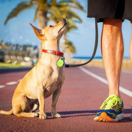 Pet Smart GPS Tracker Pet GPS TrackerPetsPet GPS TrackerPaws And PensKeep Your Furry Buddy Safe With Pet Smart GPS Tracker! Pet GPS Tracker
Save yourself from the stress when your Pet Smart GPS Tracker and stay connected to her all thPaws And Pens