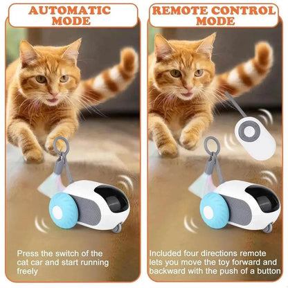 Remote Control Interactive Cat ToyInteractive Cat ToyPaws And PensWhy Choose an Interactive Cat Toy?
A Remote Control Interactive Cat Toy provides engaging and stimulating playtime for your cat, allowing you to interact with them rPaws And Pens