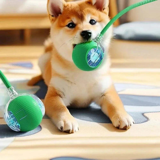 Rolling Balls for DogRolling Balls for DogPaws And PensInteractive Rolling Balls for Dogs: The Perfect Toy
Keep your dog entertained and active with rolling balls designed for endless fun and interactive playtime!

InterPaws And Pens