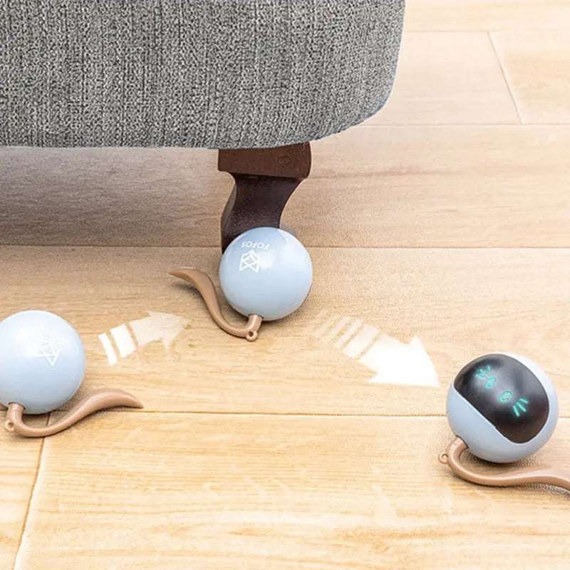 Smart Cat ToySmart Cat ToyPaws And PensWhy Every Cat Needs a Smart Cat Toy
Cats like to play with different balls, our interactive fitness ball will bring hours of fun to your cats!

Perfect Quality MaterPaws and pens