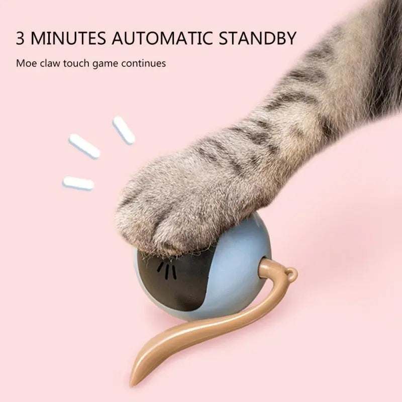 Smart Cat ToySmart Cat ToyPaws And PensWhy Every Cat Needs a Smart Cat Toy
Cats like to play with different balls, our interactive fitness ball will bring hours of fun to your cats!

Perfect Quality MaterPaws and pens