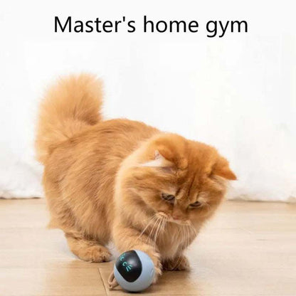 Smart Cat ToySmart Cat ToyPaws And PensWhy Every Cat Needs a Smart Cat Toy
Cats like to play with different balls, our interactive fitness ball will bring hours of fun to your cats!

Perfect Quality MaterPaws and pens