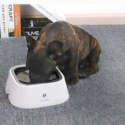 Spill proof dog water bowl Splash Proof Pet BowlSpill proof dog water bowlPaws And PensWhy Choose a Splash Proof Pet Bowl

Our Splash Proof Pet Bowl is a revolutionary way to keep your furry friend hydrated without worrying about the mess.
The day you Paws And Pens