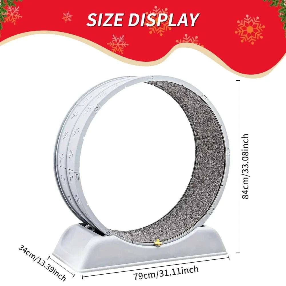 S72cf39201f1b496981e0f2798b2af997a