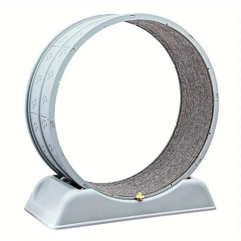 Se8160bba1b644587a91e2ef75d49b13e9