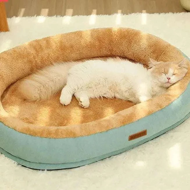 Pet Bed